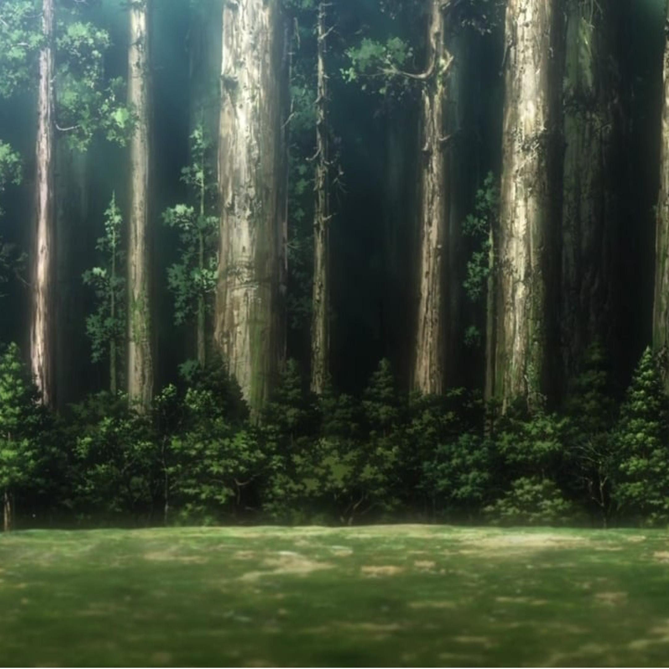 走出森林OutOfTheForest