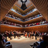 The Concert - Isabella Stewart Gardner Museum