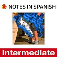 Notes in Spanish Intermediate