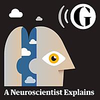 A Neuroscientist Explains