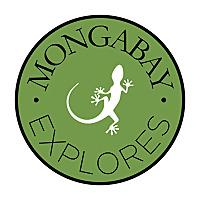 Mongabay Explores
