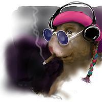 Marvin Hamster Music Emporium