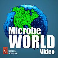 MicrobeWorld Video HD