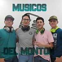 Músicos Del Montón