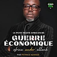 Petit Traité de Guerre Économique