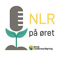 NLR på øret