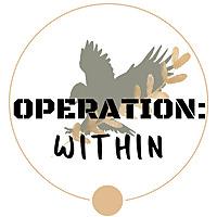 Operation Within Podcast: Holistic Health Matters