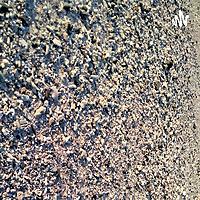 Podcast About Person Hobby