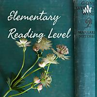 Elementary Reading Level