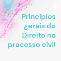 Princípios gerais do Direito no processo civil