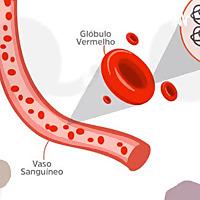 Alfa talassemia