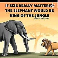 FEARLESS HEART MOTIVATION
