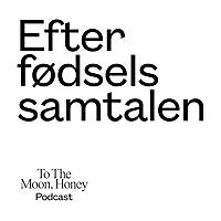 Efterfødselssamtalen