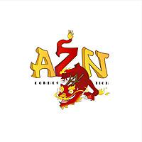 AZN Connection