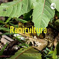 Ranicultura