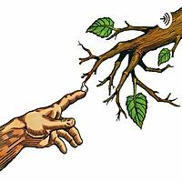 ECOCAST