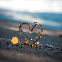 Love Bites