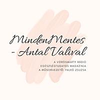 MindenMentes