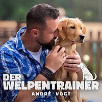 Der Welpentrainer - Der Podcast mit André Vogt