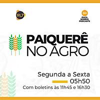Paiquerê no Agro