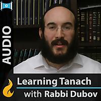 Learning Tanach