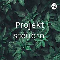 Projekt steuern