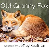 Old Granny Fox