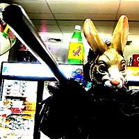 Your Video Store Shelf