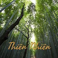 Thiên Nhiên