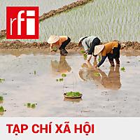Tạp chí xã hội