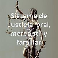 Sistema de Justicia ⚖ oral, mercantil y familiar