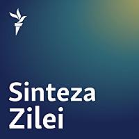 Sinteza zilei