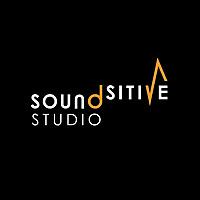 Soundsitive Studio