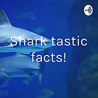 Shark tastic facts!