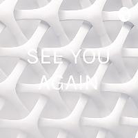 SEE YOU AGAIN