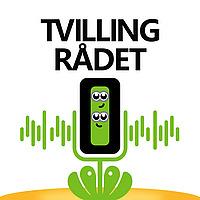 Tvillingrådet