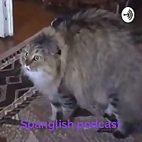 Spanglish podcast - Biografía + Crime Scene by Natasha Manita e Gabriela Kerner