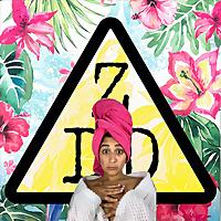 Zona de Descarga's show