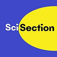 SciSection