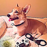 Sex, Games & Puppy Love
