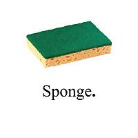 Sponge podcast