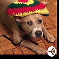 ShattaDruRadio/GaffFM