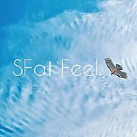 SFat Feel