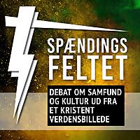 Spændingsfeltet