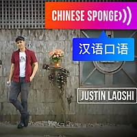 Chinese Sponge