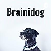 Brainidog