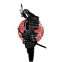 O Samurai Nerd