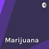 Marijuana