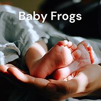 Baby Frogs - Devenir parent dans la Bay Area