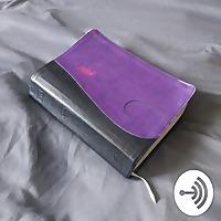 Read Your Bible Throughout the Year